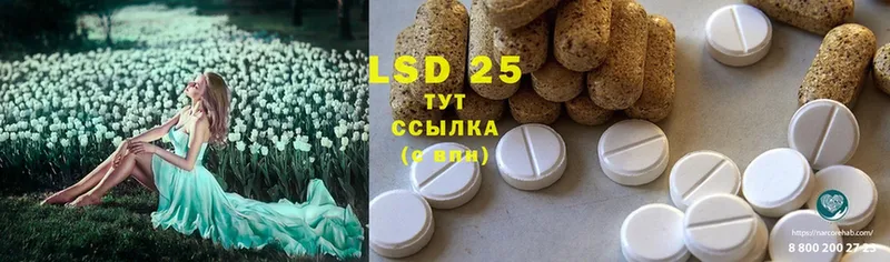 Лсд 25 экстази ecstasy  где продают наркотики  Карабаново 